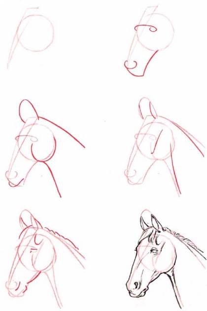 vinicios carvalho: como desenhar passo a passo um cavalo